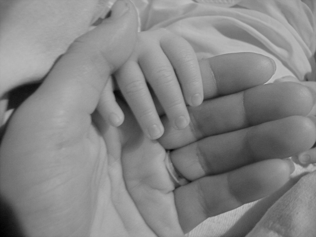 Adult's hand holding infant's hand